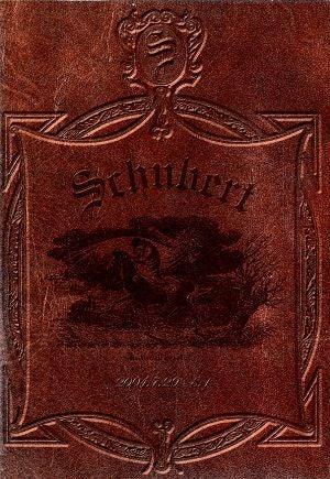 姿月あさと　音楽ドラマ　シューベルト　-音楽に生きる-（DVD）