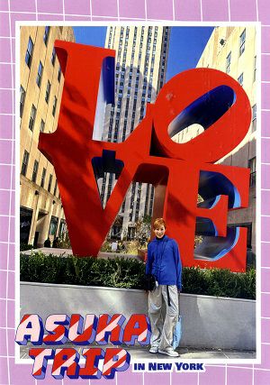 聖乃あすか/ASUKA TRIP IN NEW YORK (DVD)＜中古品＞ | 宝塚アン