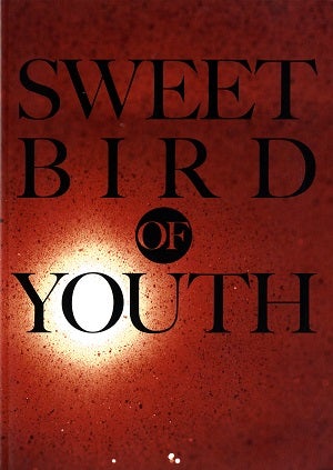 渇いた太陽 （Sweet Bird of Youth）　全国公演プログラム
